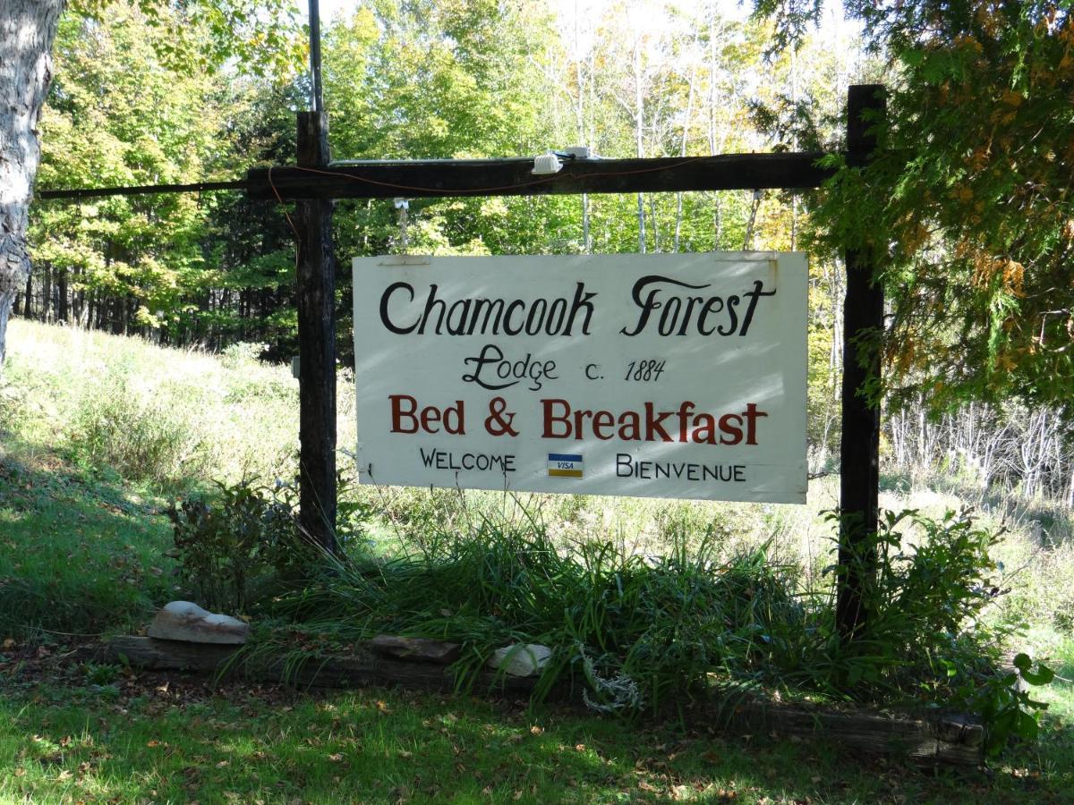 Chamcook Forest Lodge Bed & Breakfast St. Andrews By The Sea Zewnętrze zdjęcie